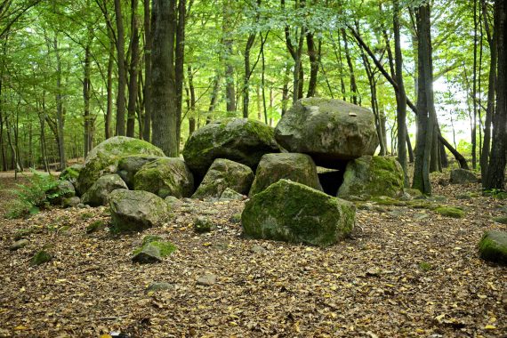 Dolmen - Borkowo. Copyright: Paweł Kaczmarek