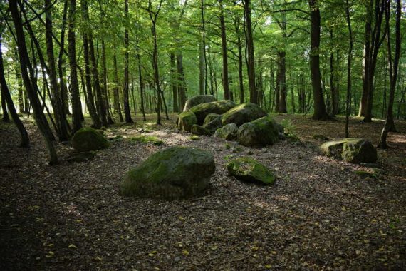 Dolmen - Borkowo. Copyright: Paweł Kaczmarek