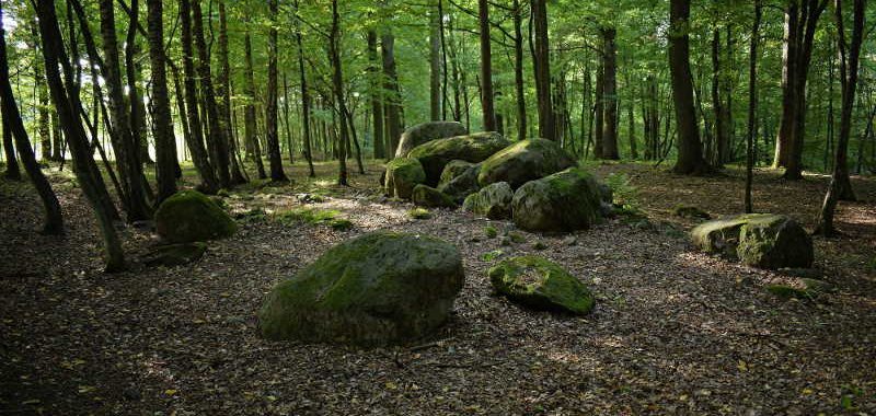Dolmen - zabytek w miejscowości Borkowo. Starożytny grobowiec. Copyright: Paweł Kaczmarek