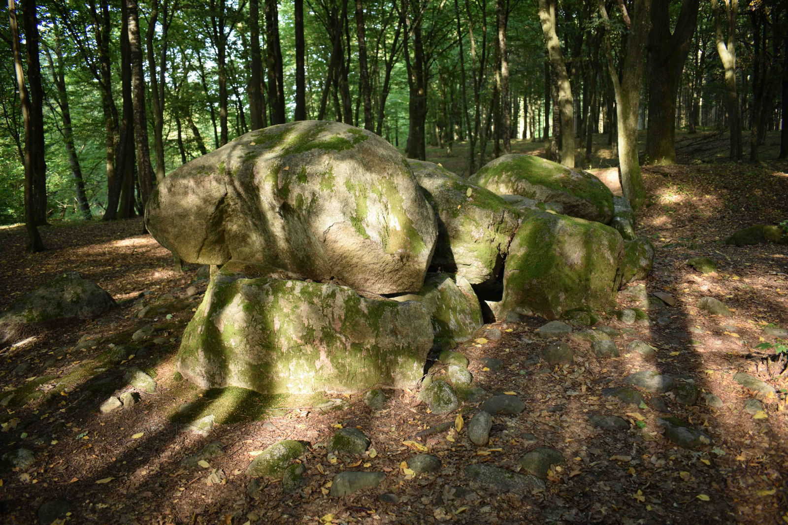 Dolmen - Borkowo. Megalityczny grobowiec. Megalithic tomb. Copyright Paweł Kaczmarek