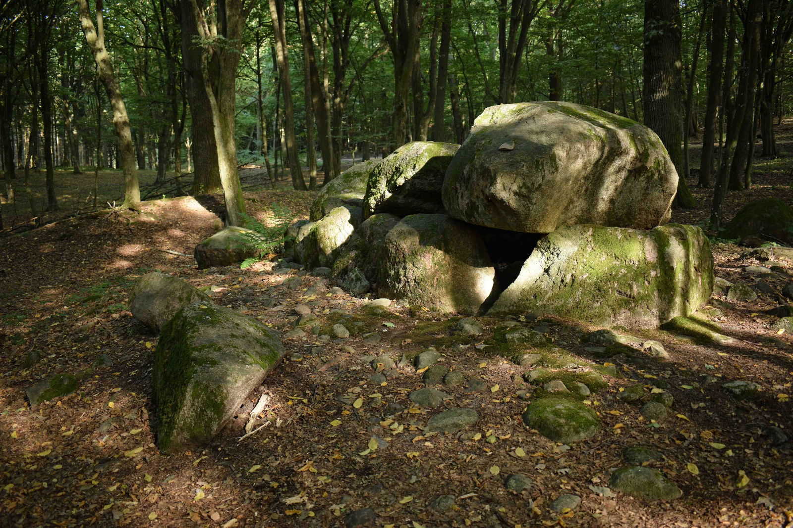 Dolmen - Borkowo. Megalityczny grobowiec. Megalithic tomb. Copyright Paweł Kaczmarek
