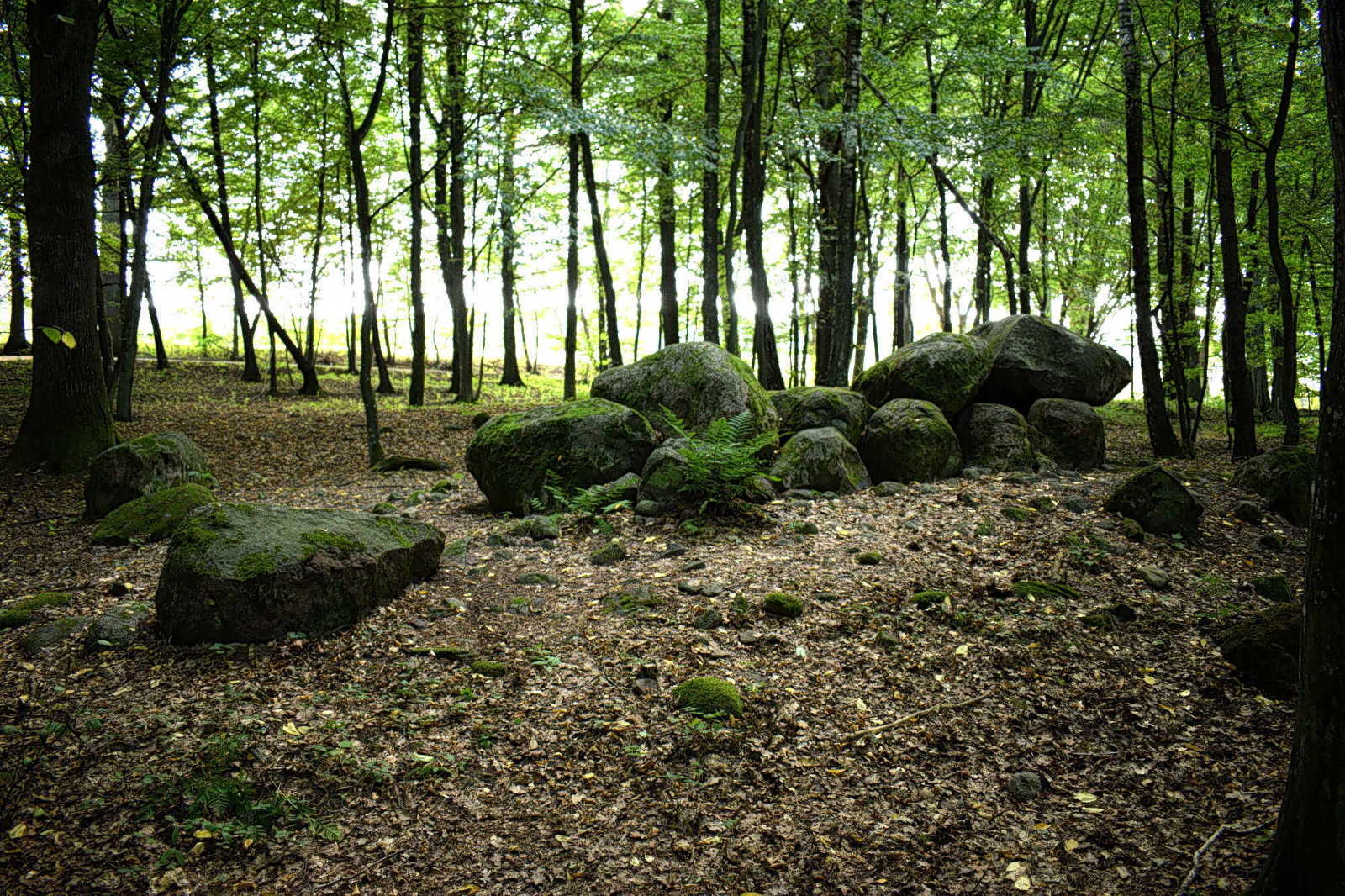 Dolmen - Borkowo. Megalityczny grobowiec. Megalithic tomb. Copyright Paweł Kaczmarek