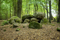 Dolmen - Borkowo. Copyright: Paweł Kaczmarek