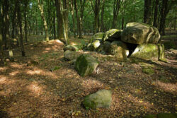 Dolmen - Borkowo. Copyright: Paweł Kaczmarek