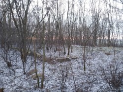 Góra Łysica