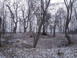 Góra Łysica