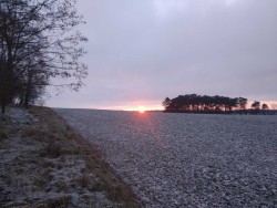 Góra Łysica - w pobliżu Stargardu. Copyright: Paweł Kaczmarek
