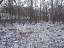 Góra Łysica