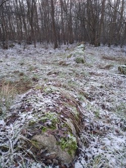 Góra Łysica