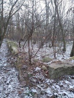 Góra Łysica