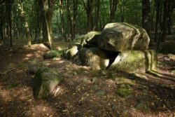 Dolmen - Borkowo. Copyright: Paweł Kaczmarek