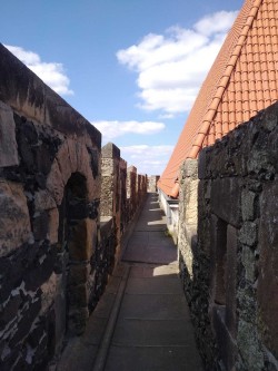 Zamek Grodziec. Copyright Paweł Kaczmarek