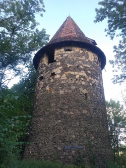 Wieża zamku Grodziec (niedaleko zabudowań zamku). Copyright Paweł Kaczmarek