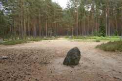 Kręgi kamienne - miejscowość Grzybnica.