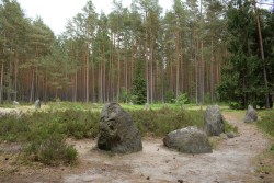 Kręgi kamienne - miejscowość Grzybnica. Stone circles - Grzybnica locality.