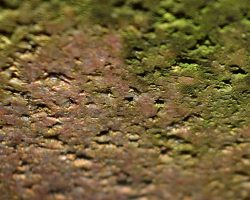 Dolmen in Borkowo. Block with cut marks - surface in zoom. Small holes visible but surface looks like polished